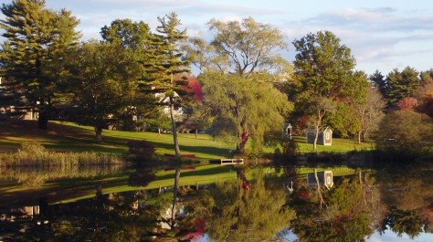 Lake during Fall